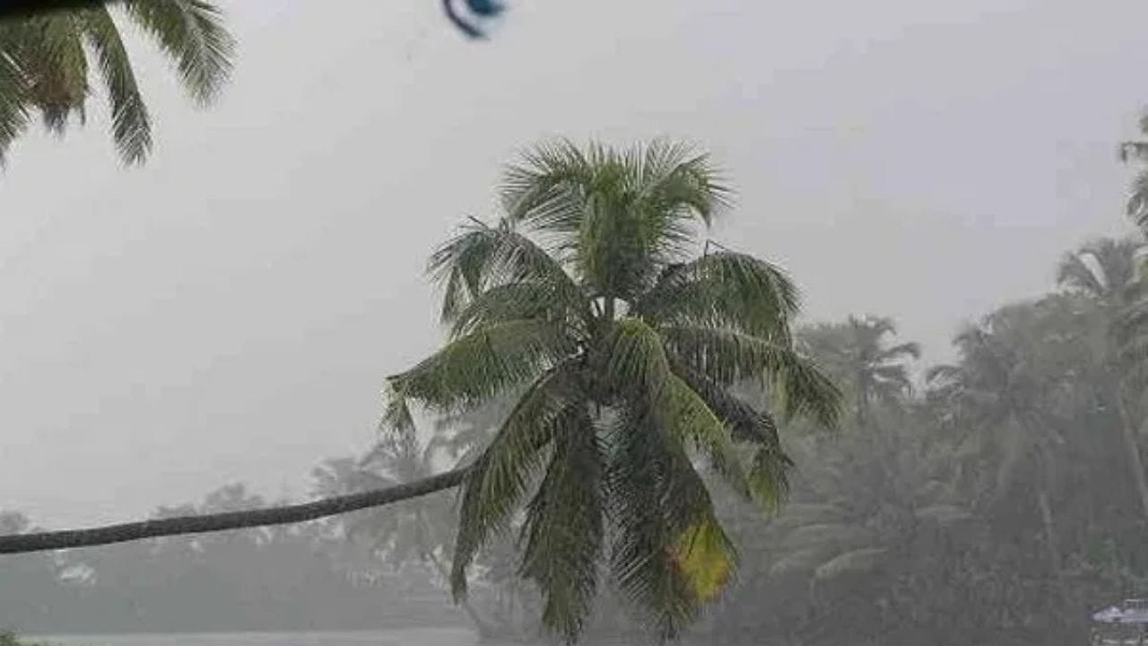 Weather Update : पुढील 48 तास राज्यासाठी अत्यंत धोक्याचे; अवकाळीचं मोठं संकट, घराबाहेर पडू नका, आयएमडीकडून हाय अलर्ट