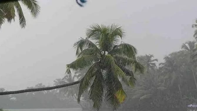 Weather Update : पुढील 48 तास राज्यासाठी धोक्याचे, अवकाळीचं मोठं संकट