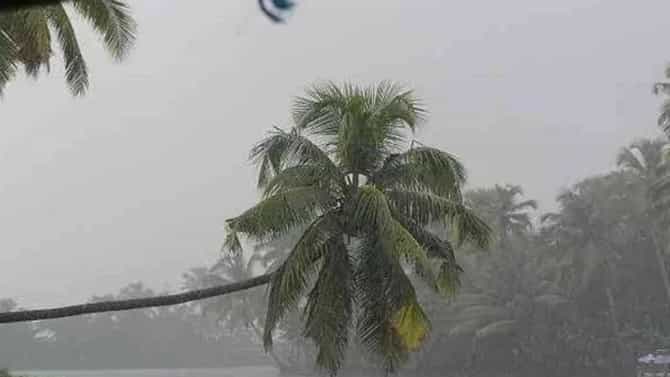 Weather Update : पुढील 48 तास राज्यासाठी अत्यंत धोक्याचे; अवकाळीचं मोठं संकट, घराबाहेर पडू नका, आयएमडीकडून हाय अलर्ट