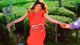 दाऊद इब्राहिम दहशतवादी नाही; 90च्या दशकातील अभिनेत्रीचे खळबळजनक विधान