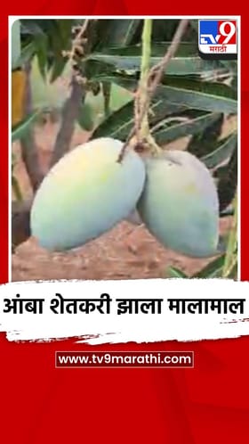 आंबा शेतकरी झाला मालामाल