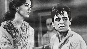 चित्रपट असावा तर असा, या चित्रपटाने 67 आठवडे बॉक्स ऑफिसवर केलं राज्य.