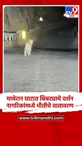 माथेरान घाटात बिबट्याचे दर्शन, नागरिकांमध्ये भीतीचे वातावरण