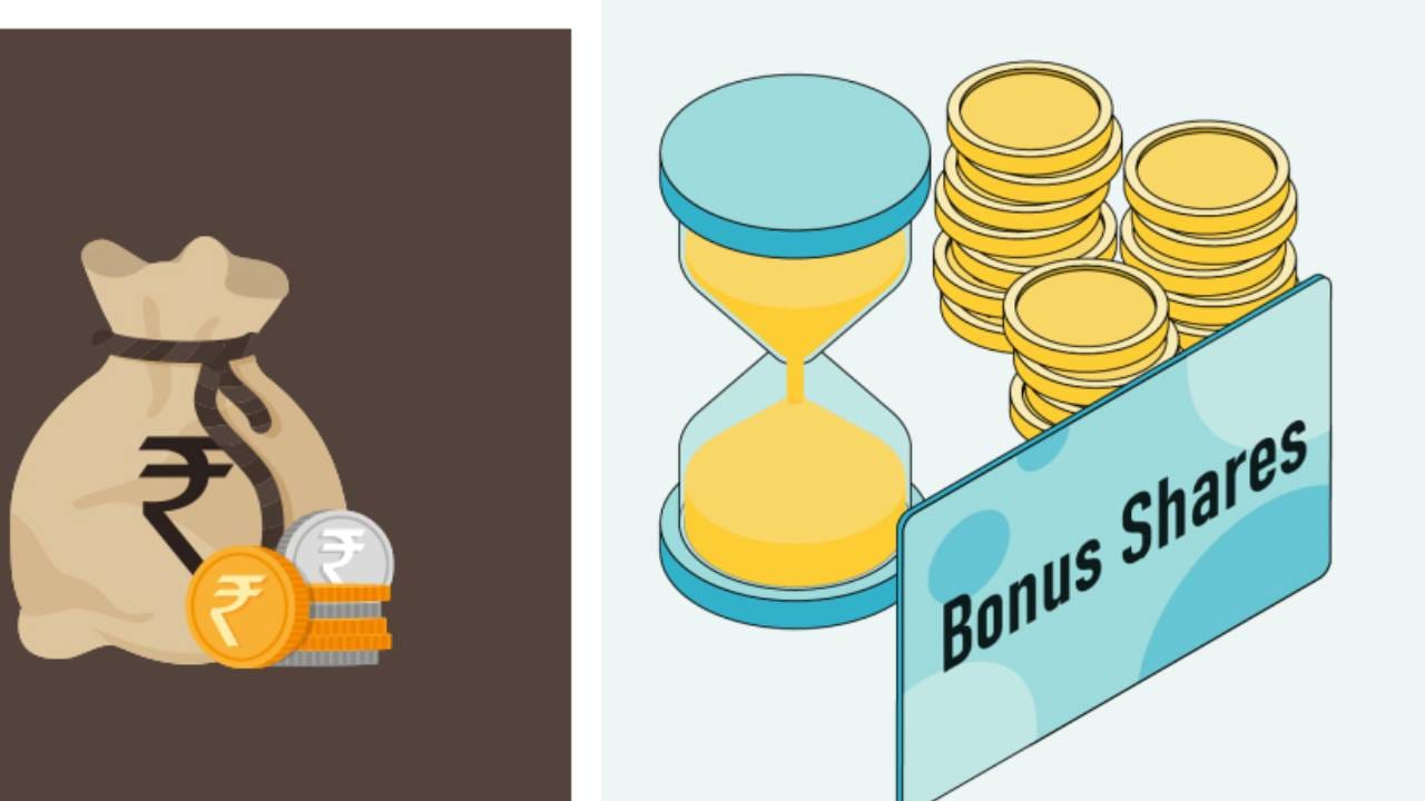 Multibagger Stock : दणादण 11 वेळा बोनस शेअर, गुंतवणूकदार झाले मालामाल, मल्टिबॅगर कंपनी कोणती?