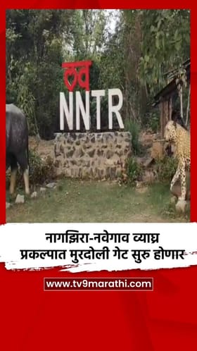नागझिरा-नवेगाव व्याघ्र प्रकल्पात मुरदोली गेट सुरु होणार
