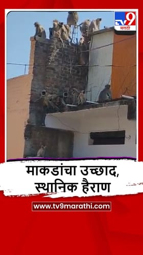 Nanded : उष्णतेच्या लाटेचा वन्यप्राण्यांवही परिणाम, पाणवठे कोरडे ठाक