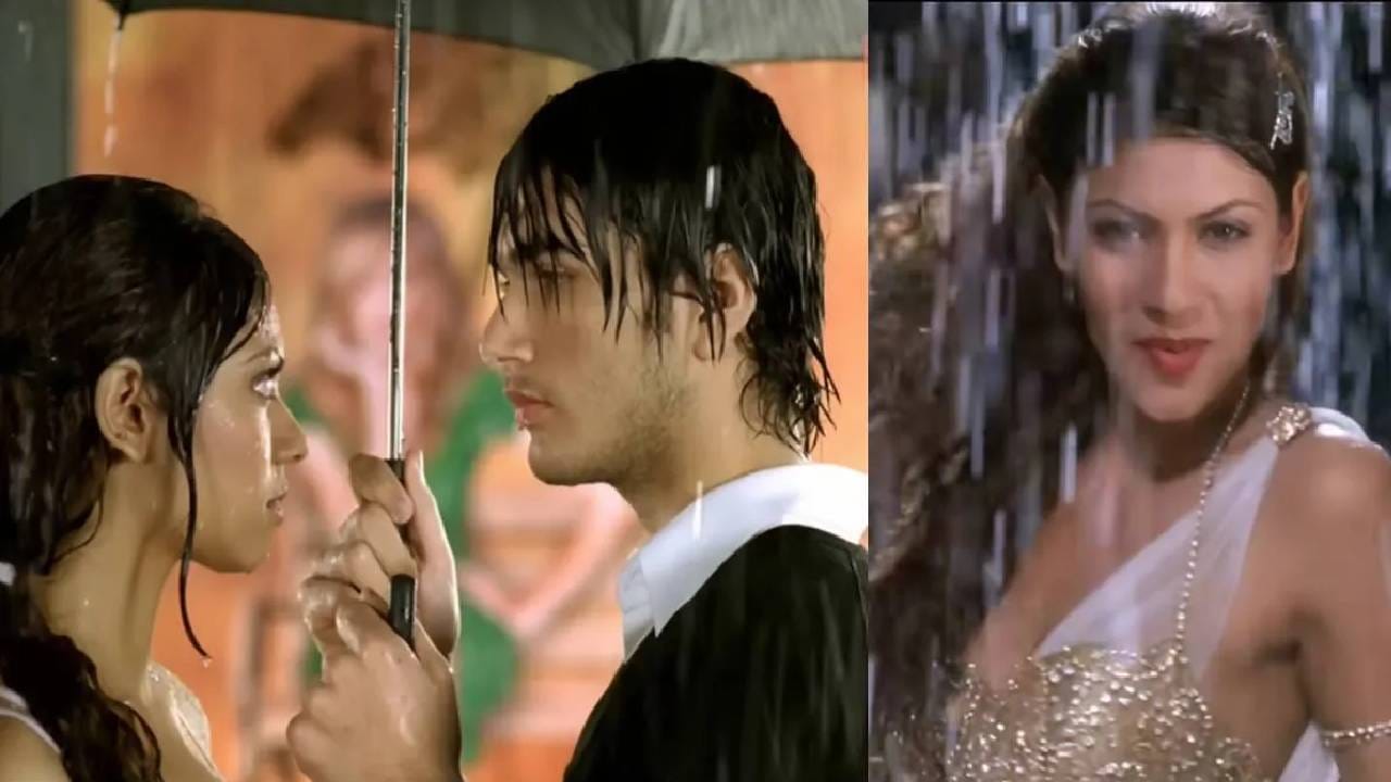 या गाण्यात लीड रोल मॉडेल आणि अभिनेत्री नीना सरकार यांनी साकारला होता. तर लीड अॅक्टरची भूमिका वरुण तुर्की यांनी केली होती. आता २० वर्षांनंतर दोघेही खूप बदलले आहेत. विशेषतः अभिनेत्री नीना सरकार यांना आता पाहिले तर ओळखणे कठीण झाले आहे.