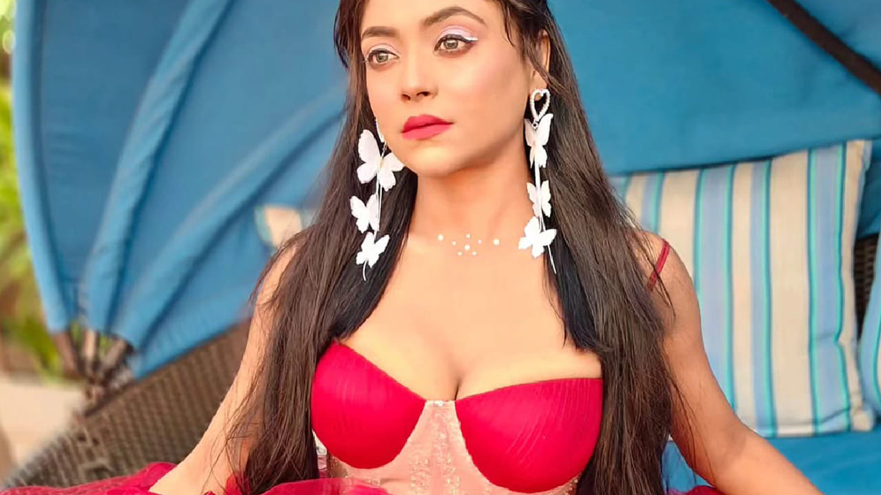 नेहलने सांगितले की, दिग्दर्शक आधी इंटिमेट सीनची स्क्रिप्ट त्यांना पाठवतात. त्यानंतर तो सीन कसा साकारायचा याबाबत चर्चा होते. इंटीमेसी कॉर्डिनेटर दिग्दर्शकाला खात्री देतात की कलाकारांकडून सीन योग्य पद्धतीने करून घेतला जाईल.