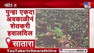 Crop Loss | अवकाळीचा शेतीला फटका, लाखोंचे नुकसान, शेतकरी हवालदिल
