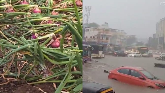 अवकाळी पावसाने शेतकरी हवालदिल, बीड येथे वीज कोसळून शेतकरी ठार