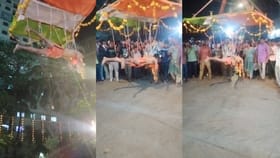 देवीच्या मिरवणूक शरीराला हूक टोचून तरुण लटकला, गुन्हा दाखल