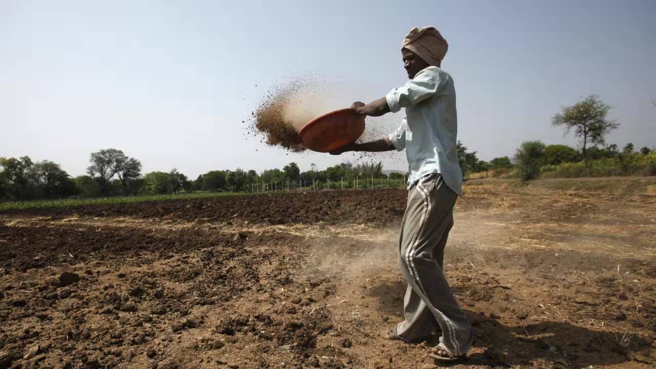 Latur | लातूरमध्ये उष्णतेचा कहर! उष्माघाताने शेतकऱ्याचा दुर्दैवी मृत्यू, शेतात काम करताना अचानक…