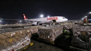 काळजाचा ठोका चुकवणारी घटना! विमान टॅक ऑफ करणार इतक्यात.. थोडक्यात बचावले २२८ प्रवाशी