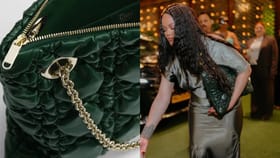 अंबानी यांच्या घरी आली रिहाना, तिच्या पर्सचीच चर्चा, किंमत किती ?.