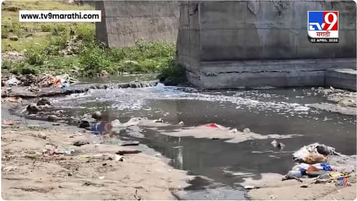 Parabhani Godavari | परभणीजवळच्या गोदावरी नदीपात्राला नाल्याचं रुप, नागरिकांकडून सांडपाण्यातच धार्मिक विधी Parabhani Godavari | परभणीजवळच्या गोदावरी नदीपात्राला नाल्याचं रुप, नागरिकांकडून सांडपाण्यातच धार्मिक विधी