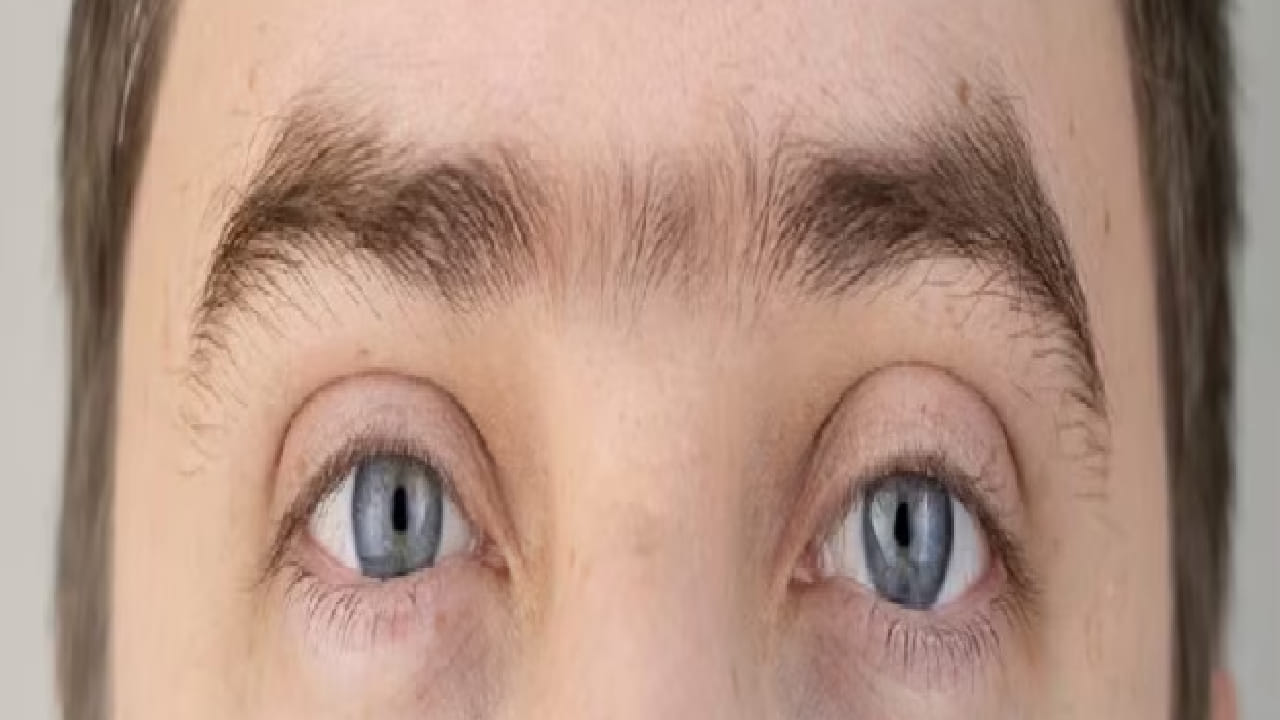 कोणतेही काम करण्यापूर्वी अशा व्यक्ती सखोल विचार करतात. त्या घाईघाईने निर्णय न घेता सर्व बाजू तपासूनच पुढे जातात. या लोकांमध्ये विश्लेषण करण्याची क्षमता चांगली असते. त्या परिस्थितीचे बारकाईने निरीक्षण करून योग्य निष्कर्ष काढतात.