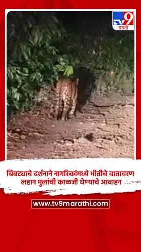 बिबट्याचे दर्शनाने नागरिकांमध्ये भीतीचे वातावरण, लहान मुलांची काळजी घेण्याचे आवाहन