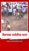 पेठ येथे बैलगाडा शर्यतीचा थरार.