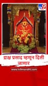 Ratnagiri : गणपतीपुळे मंदिरात द्राक्षांची आरास, पाहा व्हीडिओ.