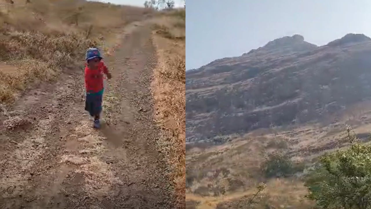 रायाजीच्या कळसूबाई आणि साल्हेर मोहिमेची दखल 'इंडिया बुक ऑफ रेकॉर्ड्स'ने घेतली आहे. दरम्यान, गिरनार मोहिमेची नोंद 'वर्ल्ड रेकॉर्ड्स'मध्ये होण्याची प्रक्रिया सध्या सुरू आहे, अशी माहिती त्याचे वडील सुधीर घारे यांनी दिली.