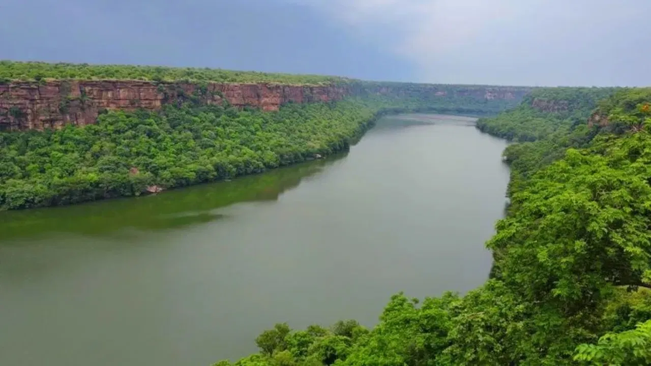 नदीचा प्रवाह: ही नदी राजस्थानमधील अजमेर, नागौर, पाली, जोधपूर, बाडमेर आणि जालोर या जिल्ह्यांतून सुमारे 495 किलोमीटरचा प्रवास करते.