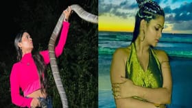 विषाची पर्वा न करता 3000 सापांचे प्राण वाचवणारी अभिनेत्री.