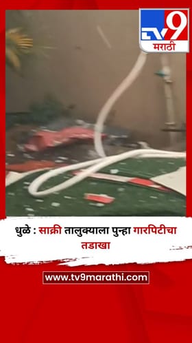 धुळे : साक्री तालुक्याला पुन्हा गारपिटीचा तडाखा