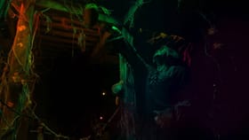 महाराष्ट्रातल्या दुर्गम गावातली कथा, गूढ, थरार.. सिनेमाचे शोज हाऊसफुल.