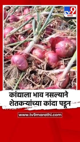 कांद्याला भाव नसल्याने शेतकऱ्यांच्या कांदा पडून
