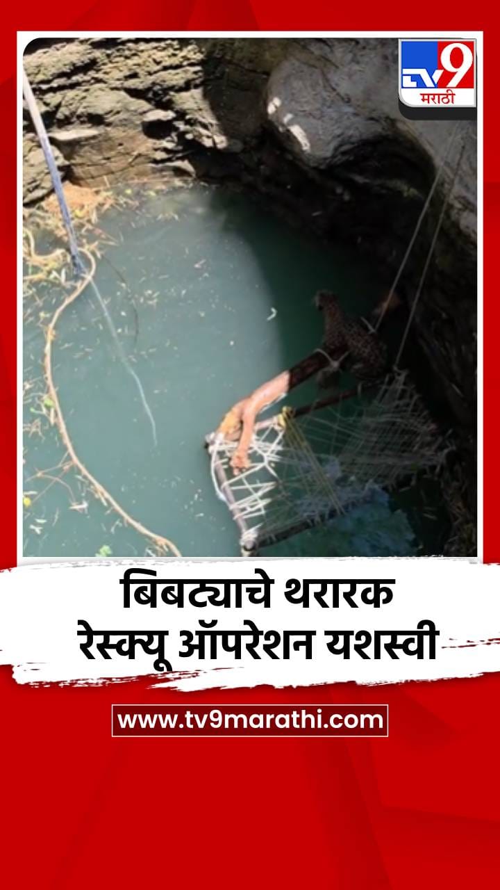 बिबट्याचे थरारक रेस्क्यू ऑपरेशन यशस्वी