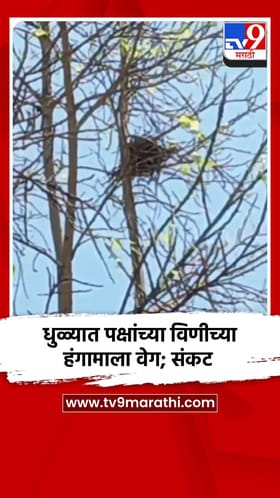 धुळ्यात पक्षांच्या विणीच्या हंगामाला वेग; हवामान बदलाचे संकट