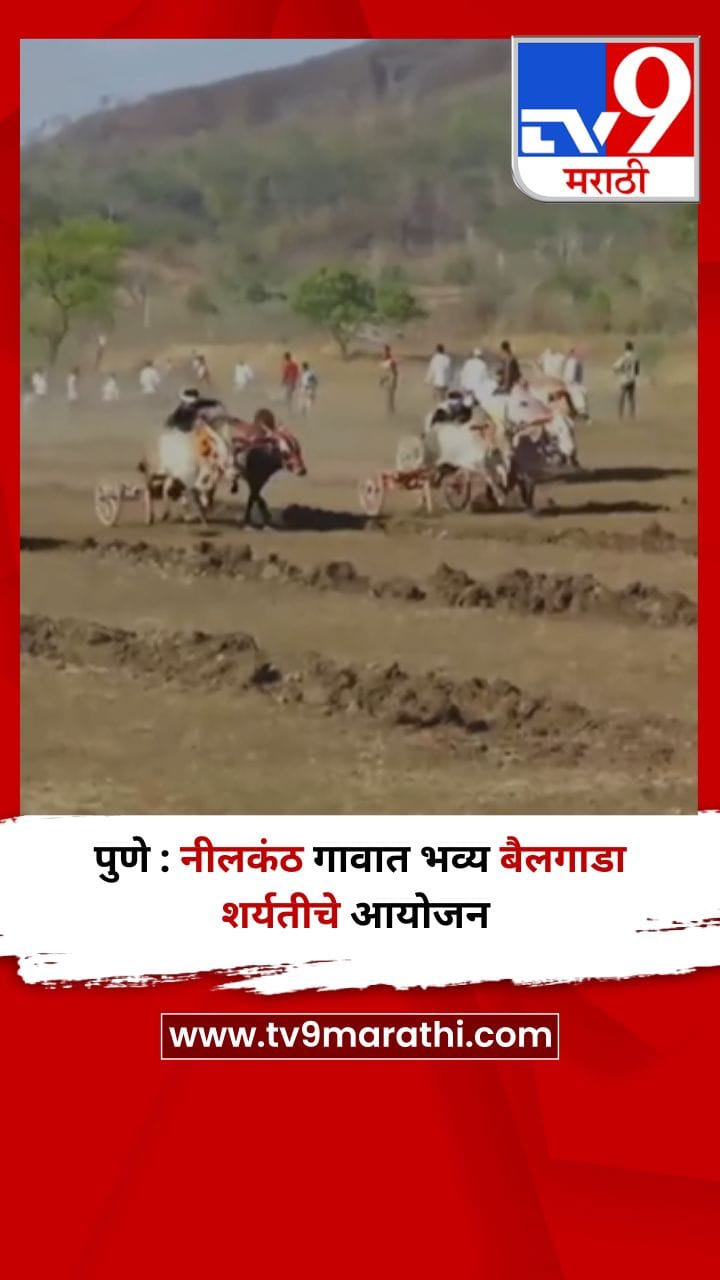 पुणे : नीलकंठ गावात भव्य बैलगाडा शर्यतीचे आयोजन