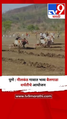पुणे : नीलकंठ गावात भव्य बैलगाडा शर्यतीचे आयोजन