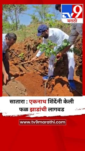 सातारा : एकनाथ शिंदेंनी केली फळ झाडांची लागवड