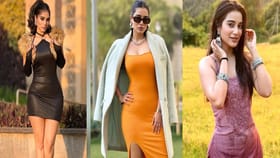 रंग - रुपावरून हिणवलं... 'धाकड गर्ल'ने गाजवलं 'बिग बॉस' वर्चस्व.