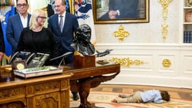 व्हाइट हाऊसमध्ये 2 वर्षाचा मुलगा जमिनीवर झोपलेला, कोण आहे तो?.