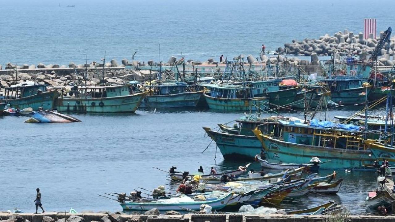 अमेरिका इराण युद्धात भारताला मोठा दणका, हजारो जहाज समुद्रकिनारी, थेट अर्थव्यवस्थेवर..