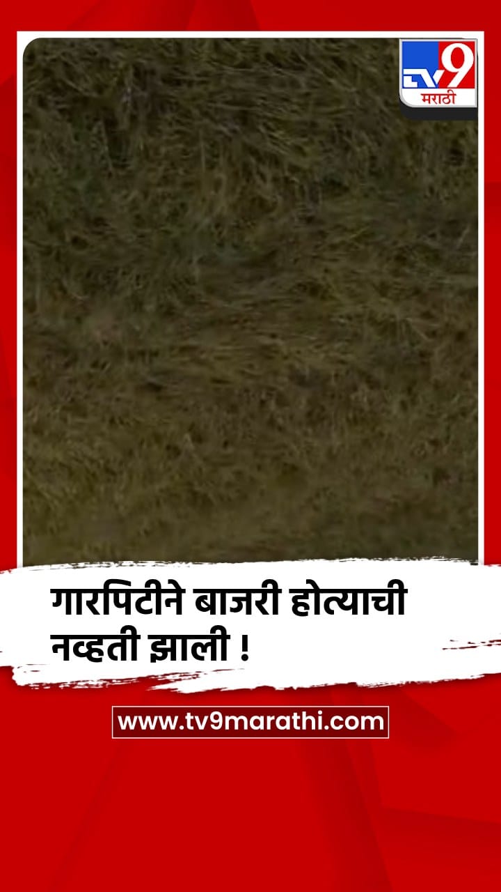 बीड - पाटोदा तालुक्यातील उखांडा गावात बाजरी पिकाचे गारपीटीने प्रचंड नुकसान