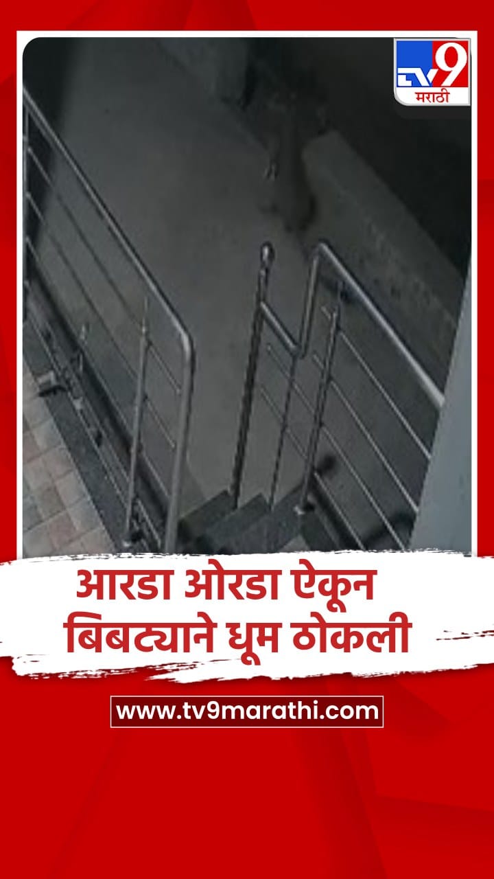 इगतपुरी : तळोघ गावात नागरिकांमुळे कुत्र्याच्या शिकारीला आलेला बिबट्या पळाला