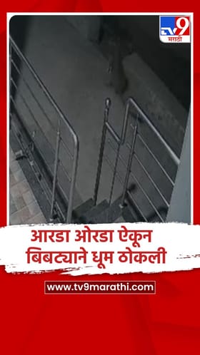 इगतपुरी : तळोघ गावात नागरिकांमुळे कुत्र्याच्या शिकारीला आलेला बिबट्या पळाला