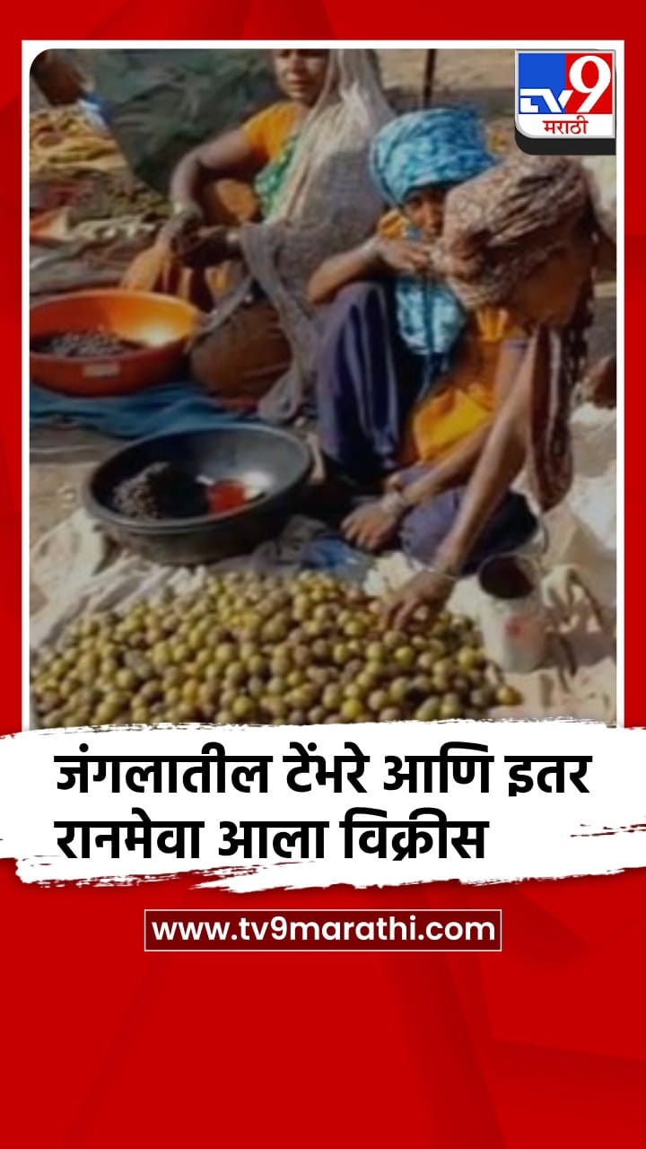 चंद्रपूरच्या बाजारात उन्हाळ्याची श्रीमंती,जंगलातील टेंभरे आणि इतर रानमेवा आला विक्रीस