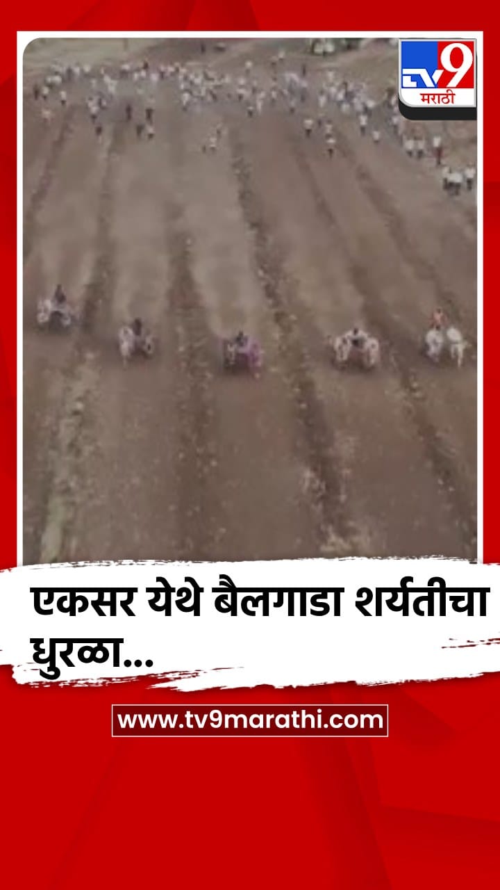 सातारा - वाई तालुक्यातील एकसर येथे एक श्री काळभैरवनाथ केसरी बैलगाडा शर्यतीचे आयोजन