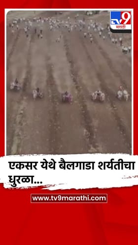 सातारा - वाई तालुक्यातील एकसर येथे एक श्री काळभैरवनाथ केसरी बैलगाडा शर्यतीचे आयोजन