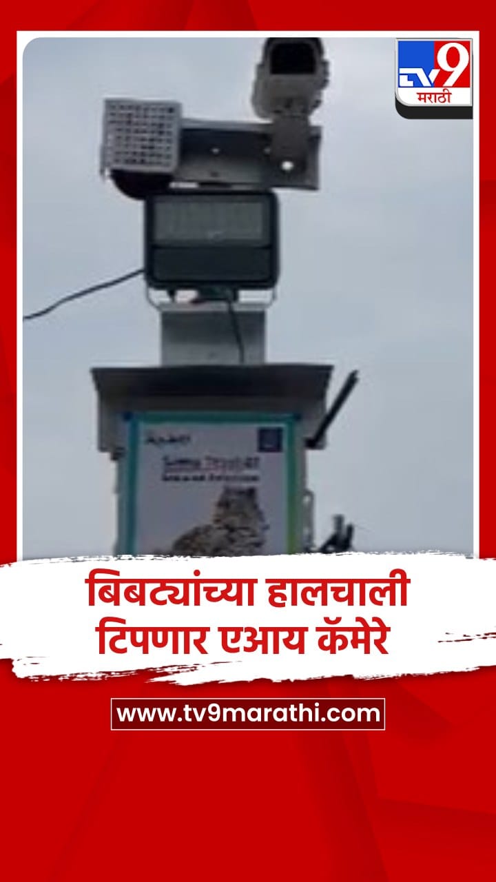 पुणे -  शिरूर येथे बिबट्याच्या हालचाली ओळखण्यासाठी विशेष एआय तंत्राचे कॅमेरे