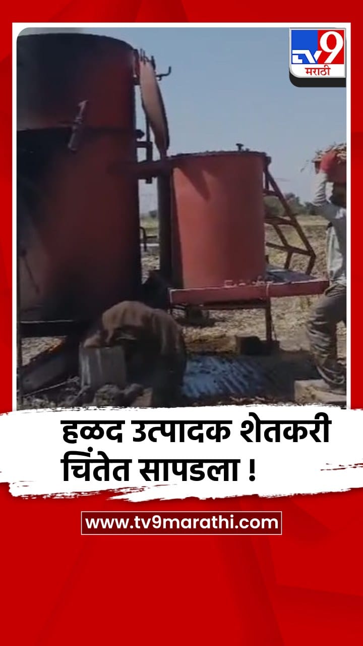 वाशिम : बॉयलिंग कुकरची कमतरता,हळद उत्पादक शेतकरी चिंतेत