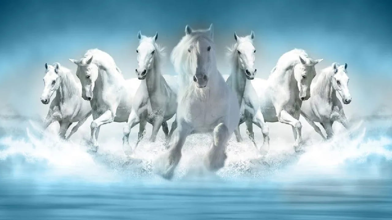 घराची शोभा वाढवण्यासाठी अनेकजण भिंतींवर आकर्षक पेंटिंग लावतात. मात्र वास्तुशास्त्रानुसार पेंटिंग निवडताना काही गोष्टींची विशेष काळजी घेणे गरजेचे आहे. विशेषतः प्राण्यांची चित्रे लावताना योग्य निवड आणि दिशा महत्त्वाची मानली जाते.