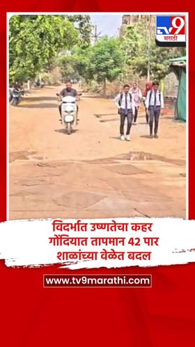 विदर्भात उष्णतेचा कहर, गोंदियात तापमान 42 पार, शाळांच्या वेळेत बदल