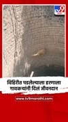 विहिरीत पडलेल्याला हरणाला गावकऱ्यांनी दिलं जीवनदान.