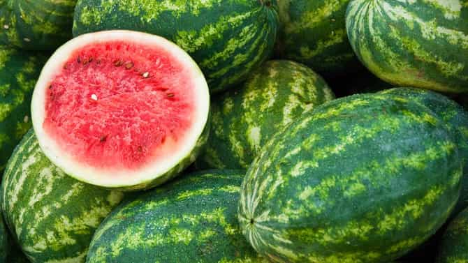 Real vs Fake Watermelon : कलिंगड केमिकलयुक्त आहे की नाही? कसं ओळखाल? या 3 गोष्टी पटकन चेक करा; नाही तर जीवावर बेतेल