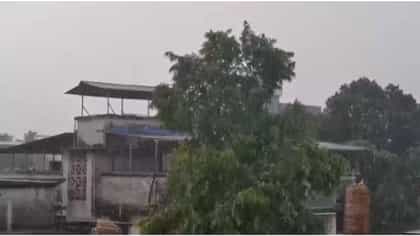 राज्यातील या भागात मुसळधार पाऊस, दुहेरी संकट, पुढील तास धोक्याची..